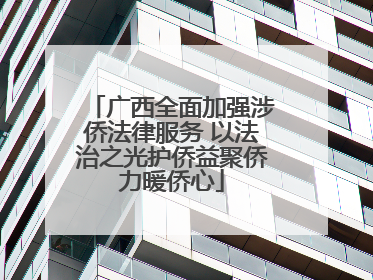 广西全面加强涉侨法律服务 以法治之光护侨益聚侨力暖侨心