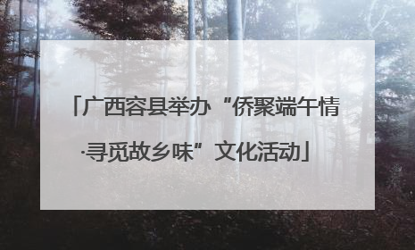 广西容县举办“侨聚端午情·寻觅故乡味”文化活动