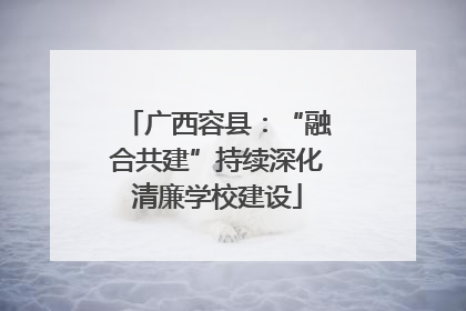 广西容县：“融合共建”持续深化清廉学校建设