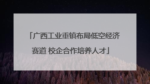 广西工业重镇布局低空经济赛道 校企合作培养人才