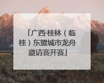 广西·桂林（临桂）东盟城市龙舟邀请赛开赛
