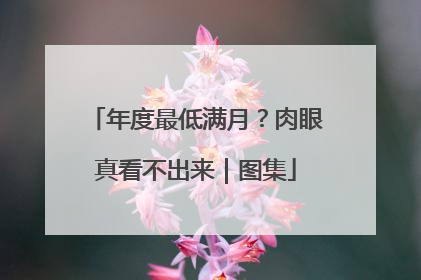 年度最低满月？肉眼真看不出来｜图集