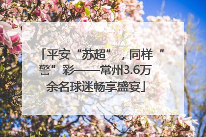 平安“苏超”，同样“警”彩——常州3.6万余名球迷畅享盛宴