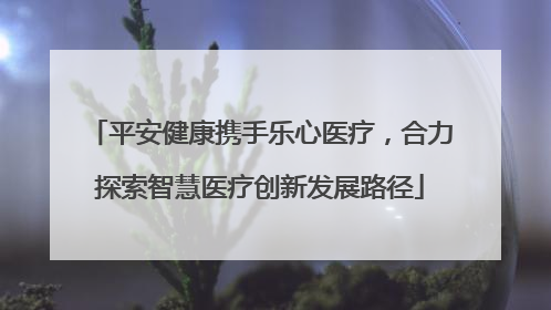 平安健康携手乐心医疗，合力探索智慧医疗创新发展路径