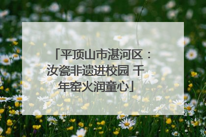 平顶山市湛河区：汝瓷非遗进校园 千年窑火润童心