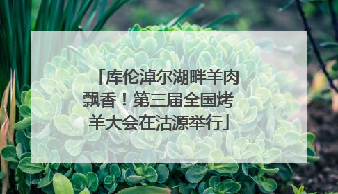 库伦淖尔湖畔羊肉飘香！第三届全国烤羊大会在沽源举行