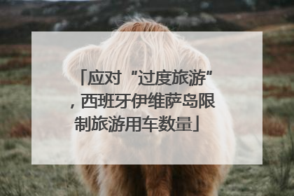 应对“过度旅游”，西班牙伊维萨岛限制旅游用车数量
