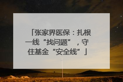 张家界医保：扎根一线“找问题”，守住基金“安全线”