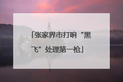张家界市打响“黑飞”处理第一枪
