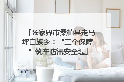 张家界市桑植县走马坪白族乡：“三个保障”筑牢防汛安全堤