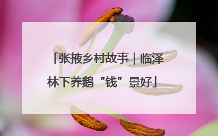 张掖乡村故事｜临泽林下养鹅“钱”景好