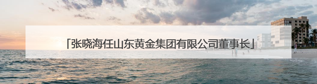 张晓海任山东黄金集团有限公司董事长