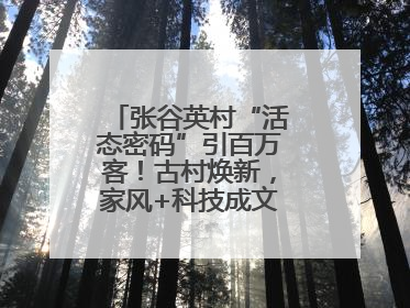 张谷英村“活态密码”引百万客！古村焕新，家风+科技成文旅融合新爆点