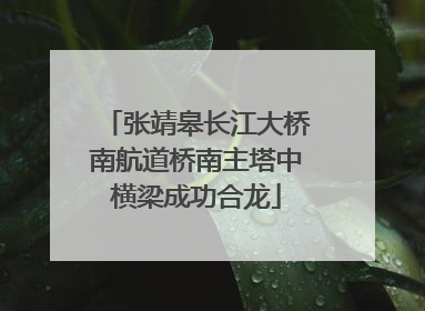 张靖皋长江大桥南航道桥南主塔中横梁成功合龙