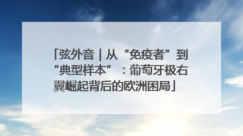 弦外音｜从“免疫者”到“典型样本”：葡萄牙极右翼崛起背后的欧洲困局