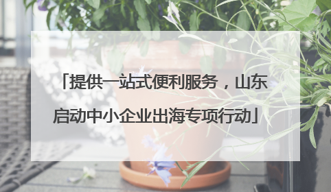 提供一站式便利服务，山东启动中小企业出海专项行动