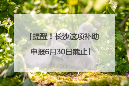 提醒！长沙这项补助申报6月30日截止