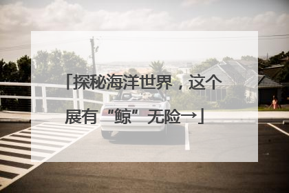 探秘海洋世界，这个展有“鲸”无险→