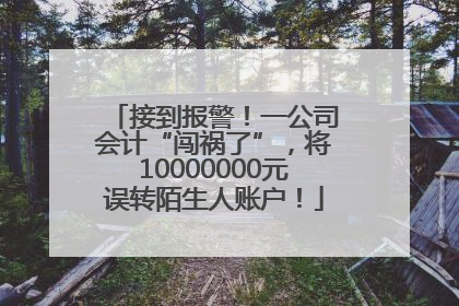 接到报警！一公司会计“闯祸了”，将10000000元误转陌生人账户！