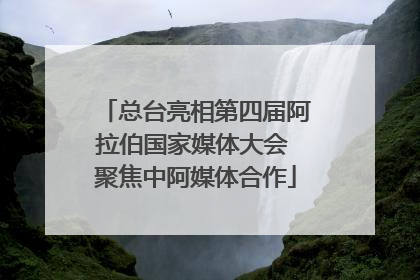 总台亮相第四届阿拉伯国家媒体大会 聚焦中阿媒体合作