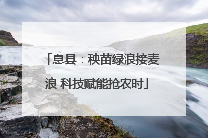 息县：秧苗绿浪接麦浪 科技赋能抢农时