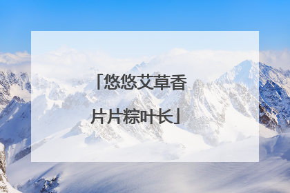 悠悠艾草香 片片粽叶长