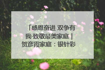 感恩奋进 双争有我·致敬最美家庭｜贺彦霞家庭：银针彩线绣出好日子