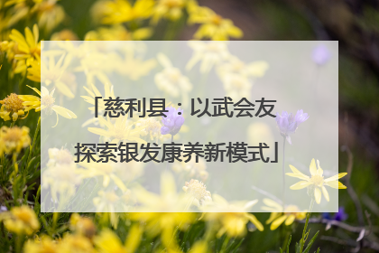 慈利县：以武会友 探索银发康养新模式