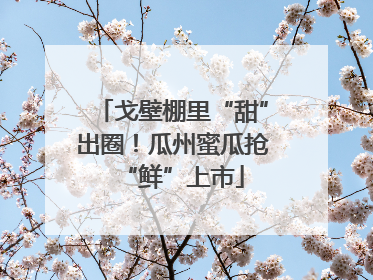 戈壁棚里“甜”出圈！瓜州蜜瓜抢“鲜”上市
