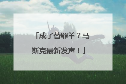 成了替罪羊？马斯克最新发声！