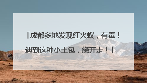 成都多地发现红火蚁，有毒！遇到这种小土包，绕开走！
