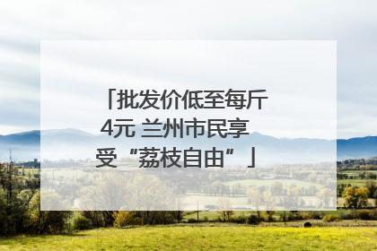批发价低至每斤4元 兰州市民享受“荔枝自由”