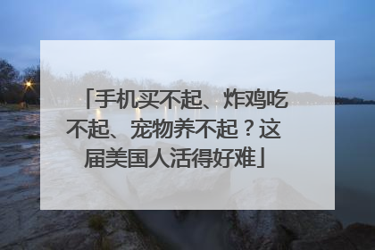 手机买不起、炸鸡吃不起、宠物养不起？这届美国人活得好难