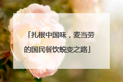 扎根中国味，麦当劳的国民餐饮蜕变之路