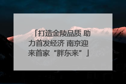 打造金陵品质 助力首发经济 南京迎来首家“胖东来”