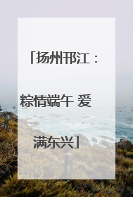 扬州邗江：粽情端午 爱满东兴