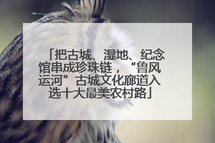 把古城、湿地、纪念馆串成珍珠链，“鲁风运河”古城文化廊道入选十大最美农村路