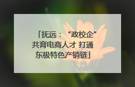 抚远：“政校企”共育电商人才 打通东极特色产销链