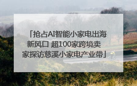 抢占AI智能小家电出海新风口 超100家跨境卖家探访慈溪小家电产业带