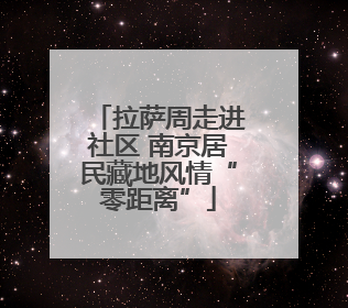 拉萨周走进社区 南京居民藏地风情“零距离”