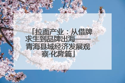 拉面产业：从借牌求生到品牌出海——青海县域经济发展观察·化隆篇