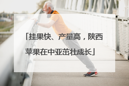挂果快、产量高，陕西苹果在中亚茁壮成长