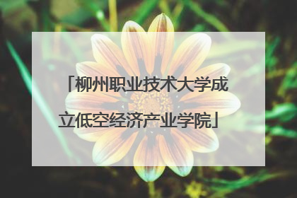 柳州职业技术大学成立低空经济产业学院