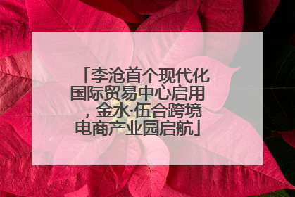 李沧首个现代化国际贸易中心启用，金水·伍合跨境电商产业园启航