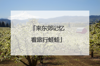 来东郊记忆 看旅行蛙蛙