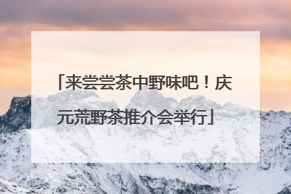 来尝尝茶中野味吧！庆元荒野茶推介会举行