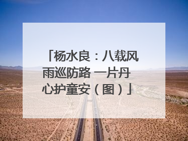杨水良：八载风雨巡防路 一片丹心护童安（图）