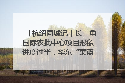 杭绍同城记｜长三角国际农批中心项目形象进度过半，华东“菜篮子”建设加码提速！