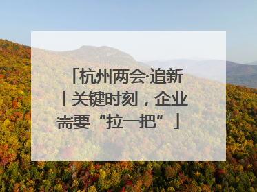 杭州两会·追新丨关键时刻，企业需要“拉一把”