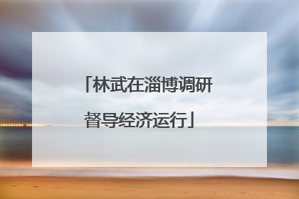 林武在淄博调研督导经济运行